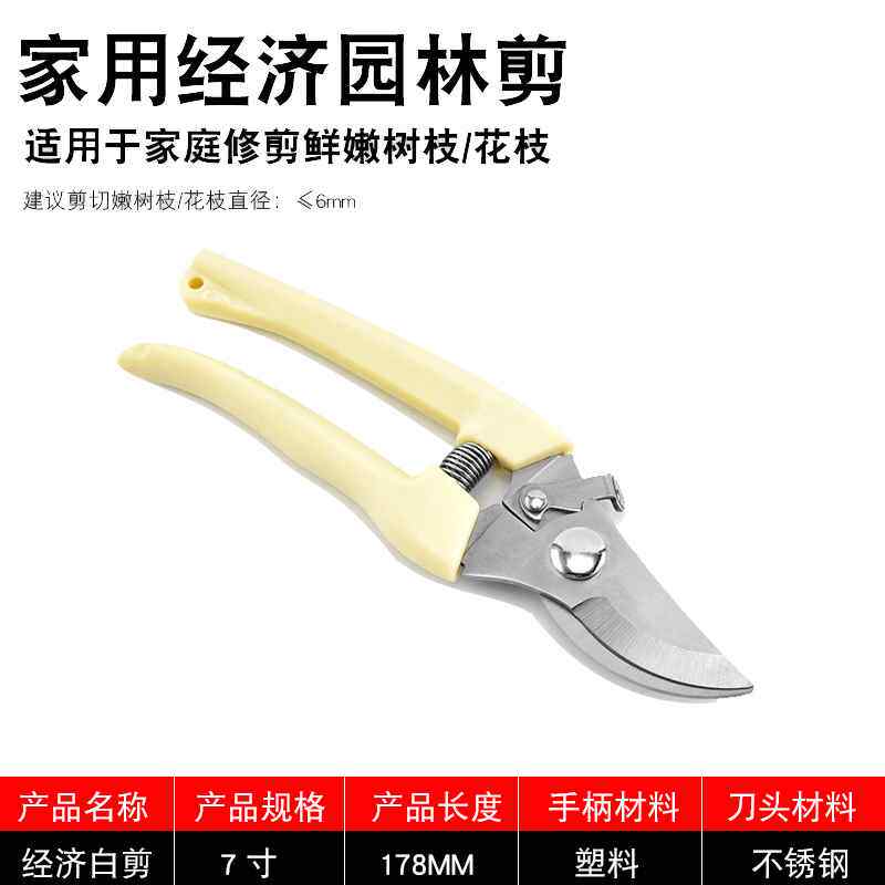 工具种花盆景小剪桑树果园果木园艺园林修枝剪修建花卉葡萄剪枝剪
