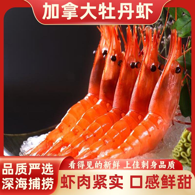 加拿大牡丹虾 鲜活速冻牡丹虾刺身品质 日料虾 甜虾 【多仓发货】