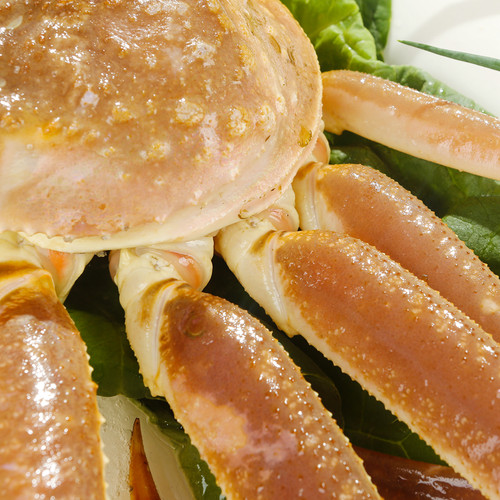 俄罗斯进口雪蟹松叶蟹