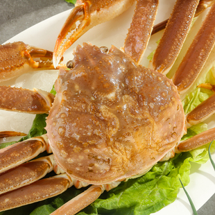 鲜活 俄罗斯进口雪蟹 1-1.2kg 松叶蟹长腿2-3斤生鳕蟹海鲜活板蟹