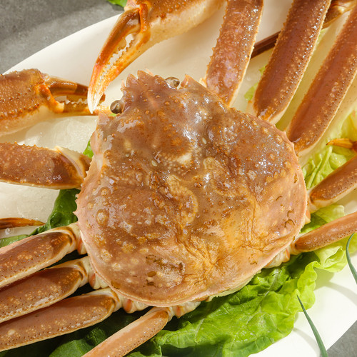 俄罗斯进口雪蟹1-1.2kg