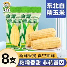 8支真空包装 新玉米粘黏糯玉米棒苞米非即食 新货东北白糯玉米250g