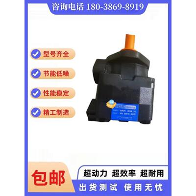 ENISON丹尼逊叶片泵SDV20 1B13B 1A/1B12B/1B11B/1B10B 11A油泵