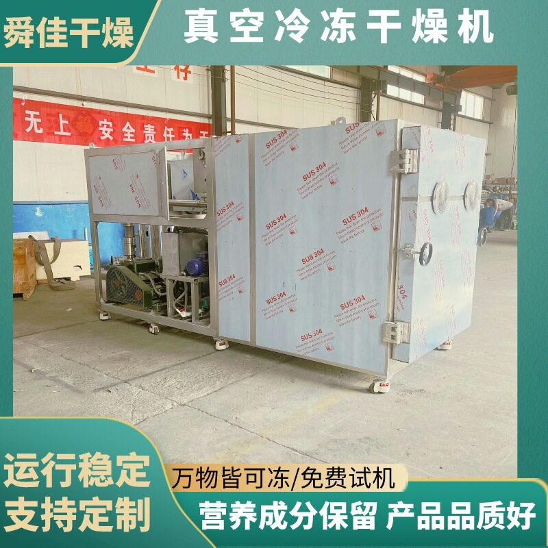 新型姬松菇黑鸡枞真空冻干机