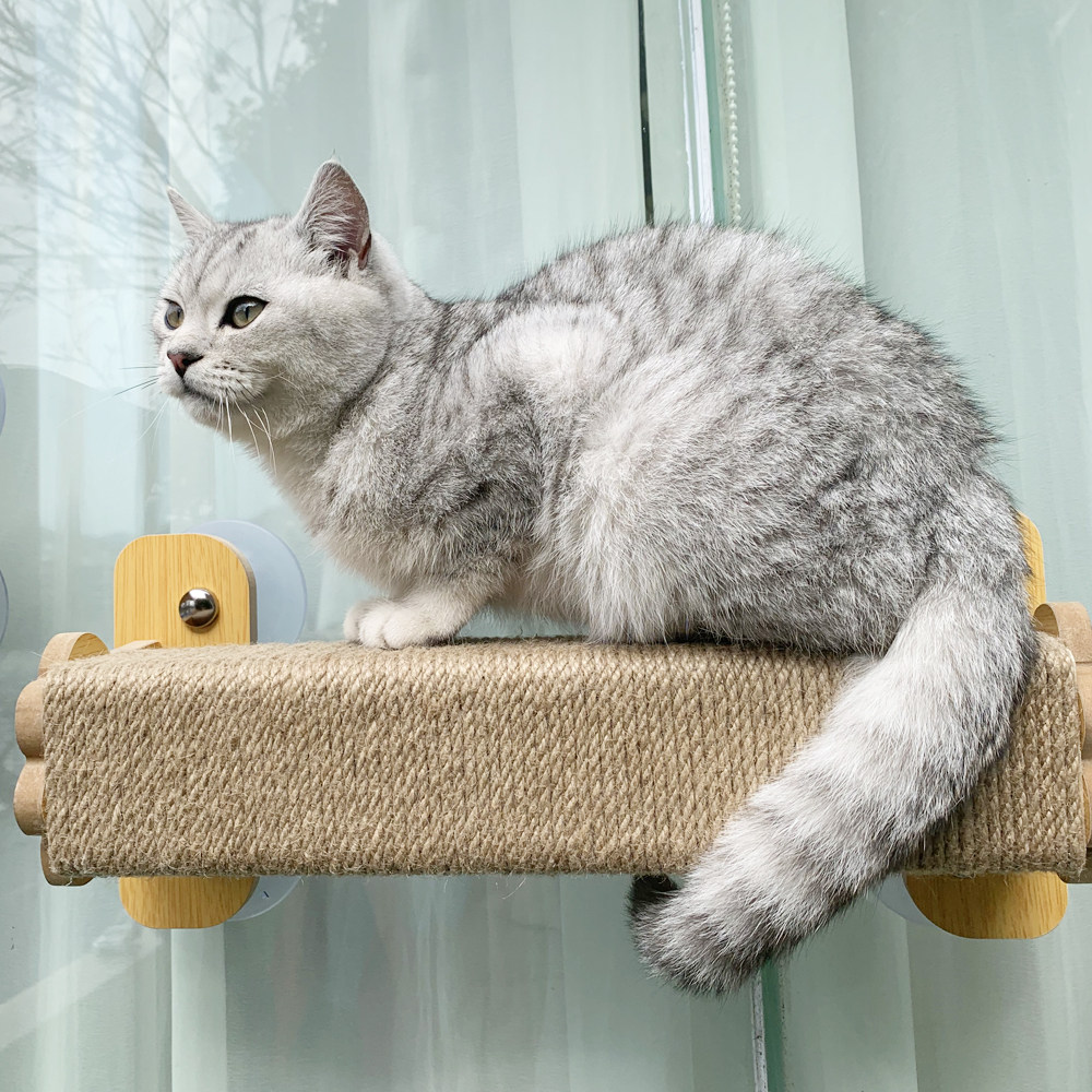 太空舱猫爬架小型猫抓柱剑麻实木猫咪空中走廊墙壁跳台猫窝不占地