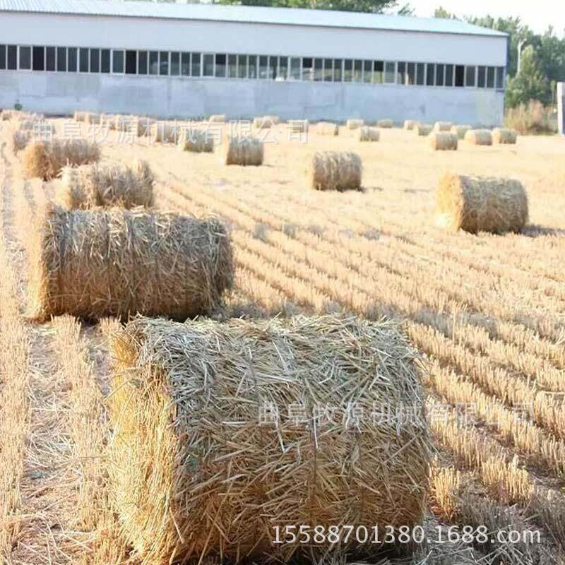 石家庄麦秸捡拾打捆机厂家 稻草捡拾打捆机 行走式秸秆打捆机
