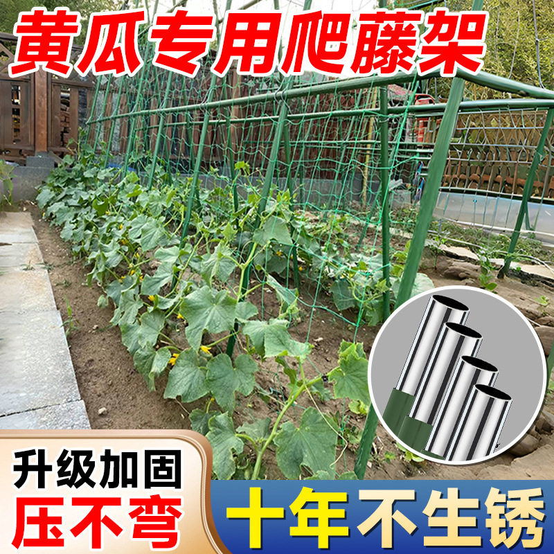 楼顶搭架子菜园西红柿豆角黄瓜杆西瓜阳台种葡萄爬藤架爬藤架蔬菜