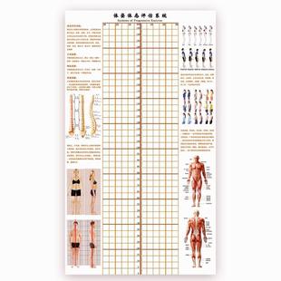体态评估表墙纸贴式体测健身房瑜伽馆私教身体形姿矫正网格对比图