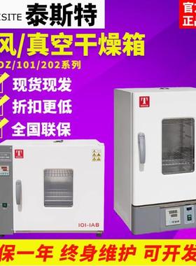 天津泰斯特101-2AB电热鼓风干燥箱实验室烘箱不锈钢
