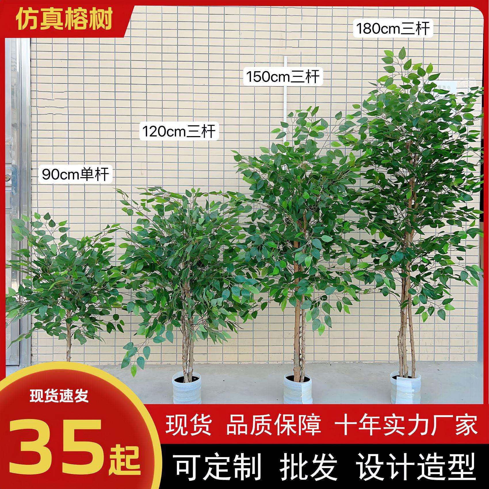 仿真榕树真木杆迷你榕树盆栽小叶榕仿真绿植仿真树室内装饰假绿植
