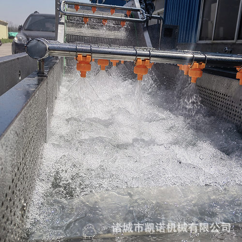 果蔬气泡高压毛辊清洗风干线