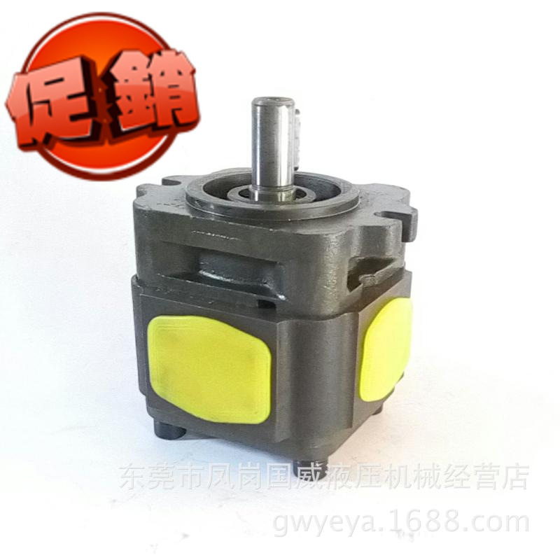 HDS内啮合高压齿轮泵替代IPVP6
