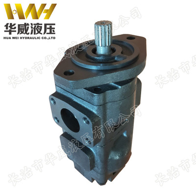 齿轮泵 20/912800  20/925339 20/925588 20/925356