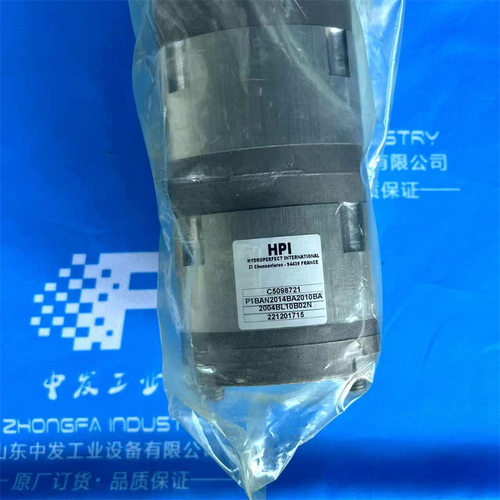 HPI齿轮泵P1BAN2008BL10B02N