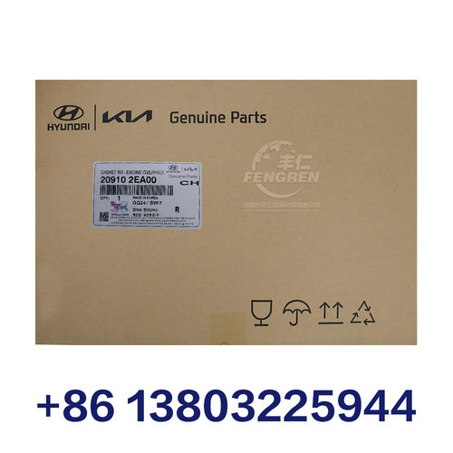 发动机大修包 20910-2EA00 适用于现代 起亚