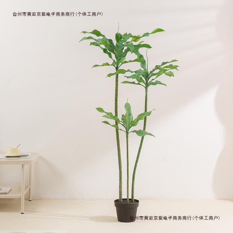大型轻奢落地绿植开业好养乔迁真花室内植物盆栽客厅绿色螺纹包邮