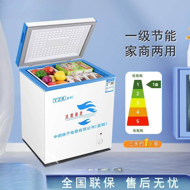 冰柜小型家用宿舍迷你冷冻冷藏卧式双温两用1级省电王冰箱