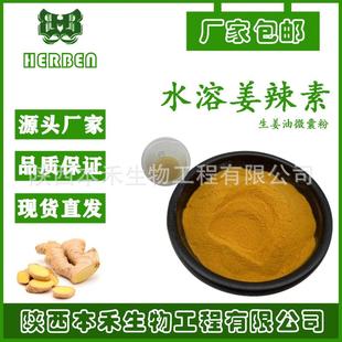 水溶姜辣素20%生姜油微囊粉生姜提取物另有2%-20%本禾23513-14