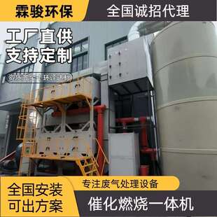 催化燃烧蓄热式活性炭吸附脱附废气处理环保设备除味净化器RTO