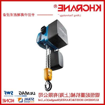 德马格起重电葫芦5t吨demag原装进口链条式环链电动葫芦起重葫芦
