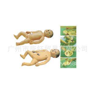 XC-409B婴儿护理模型（XC-E24）（男性、女性）男女模型