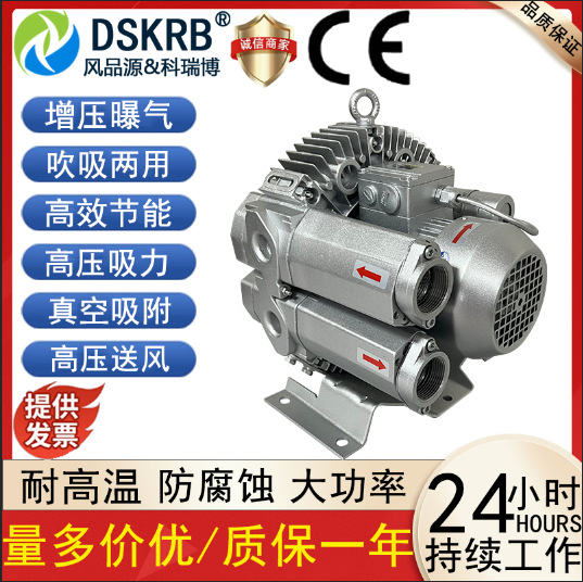 DSKRB气环式真空气泵4KRB-210AH-1 0.55KW