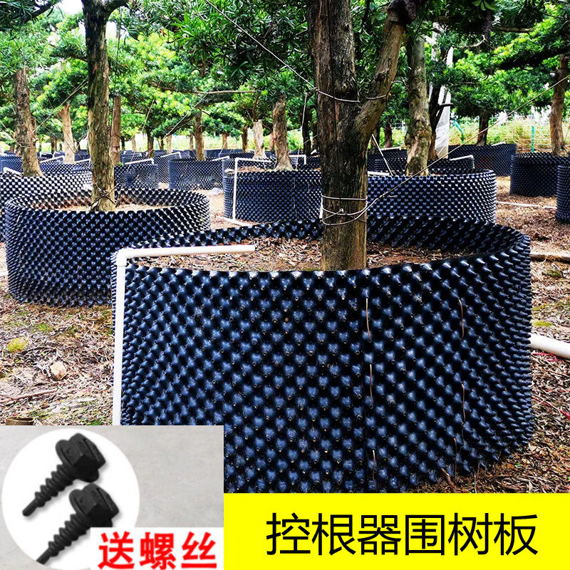 植树专用控根器景观树围树板园林绿化快速育苗大花盆控根容器底盘