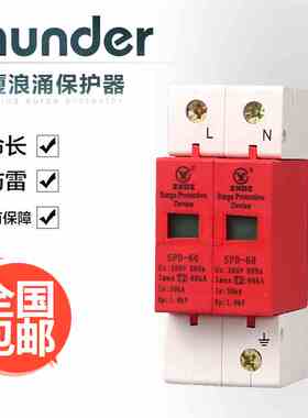 中厦浪涌家用防雷击避雷器开关电涌/泳保护器SPD60KA2P2极220vB级