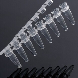 管 聚丙烯 8联排 1088 透明 qPCR 非灭菌 巴罗克0.1ml 无酶