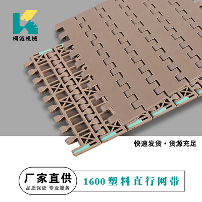 1600塑料网带直行输送网链PP尼龙传送带物流流水线