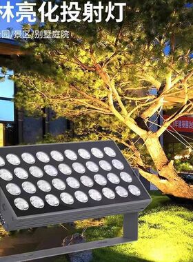 LED景观投射灯户外照树灯72W108W144W200W庭院别墅防水七彩投光灯