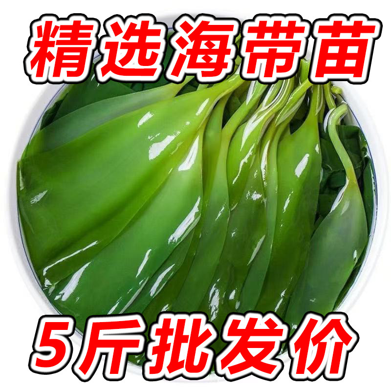 5斤装 海带苗嫩凉拌新鲜海带涮火锅食材非裙带菜霞浦盐渍海带嫩芽