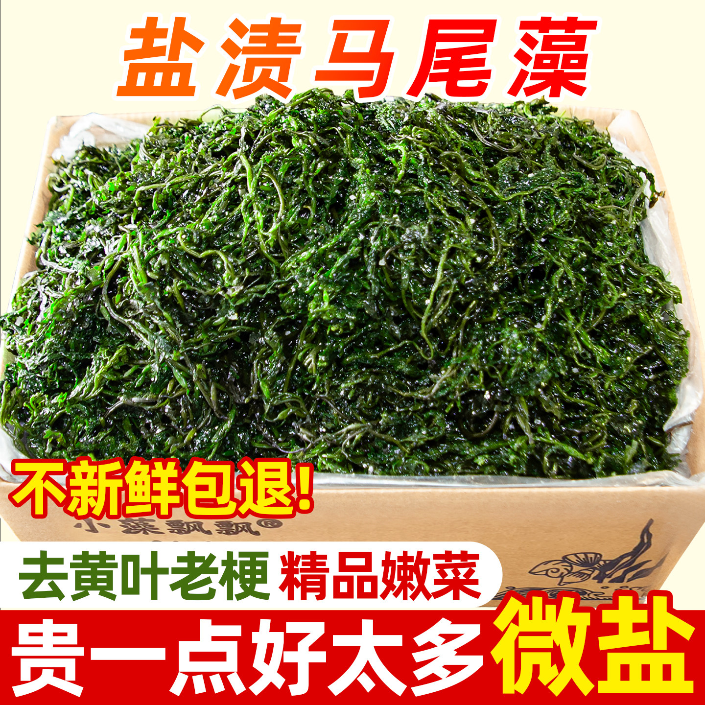 鞭炮笋鞭泡笋火锅马尾藻长寿菜海藻菜羊栖菜干货即食凉拌商用海草