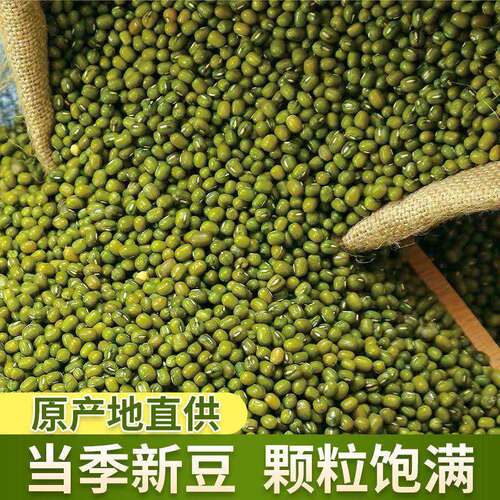 绿豆新鲜新货农家自产发豆芽包优质煮粥煮汤一级新鲜方便去皮脱皮