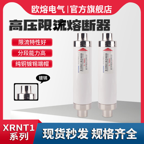 高压熔断器XRNT1-12KV/1016202540A63A80A125A高压断限流SDLAJ