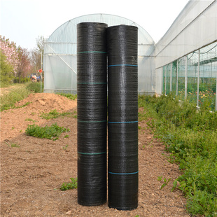 防草布新型除草布盖草布遮草布果园果树单张地布地钉耐用抗老化