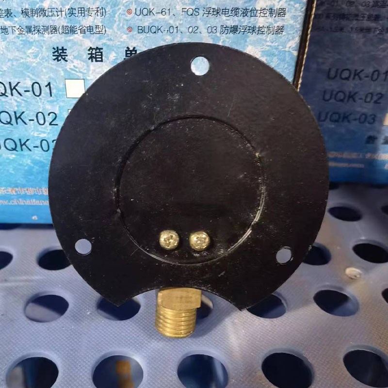 杭州东亚仪表Y-60T径向带边60MM表面压力表1/1.6/2.5/4/10/25MPA