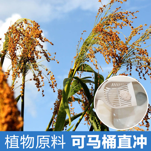 SmartCat植物猫砂原味不刺鼻无添加无尘吸水猫砂美国进口10磅*3包