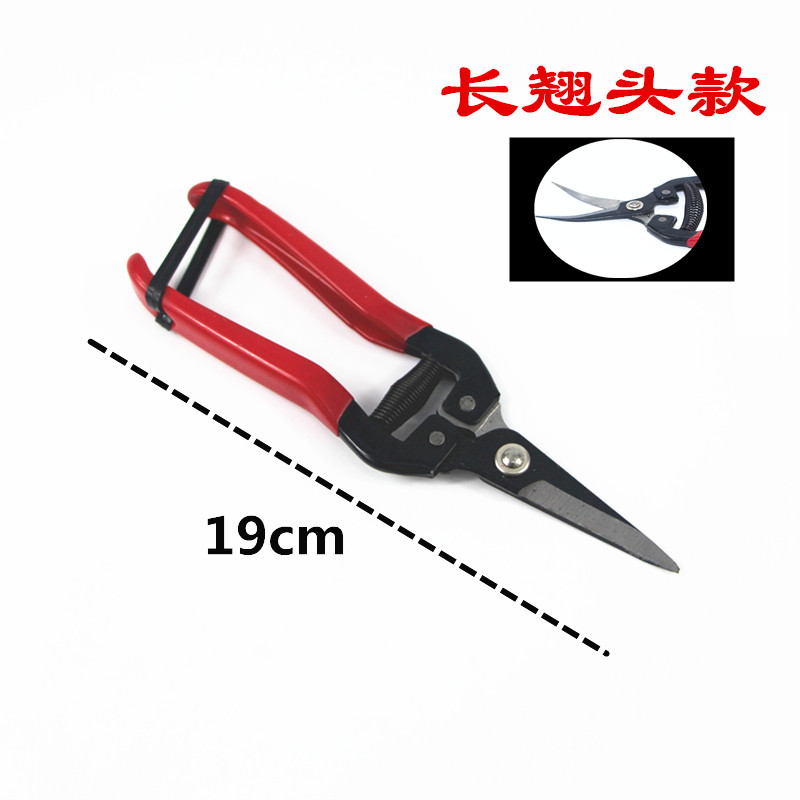 葡萄修枝剪刀园艺采果桔子采果修花摘果稀果剪摘水果神器蔬果工具