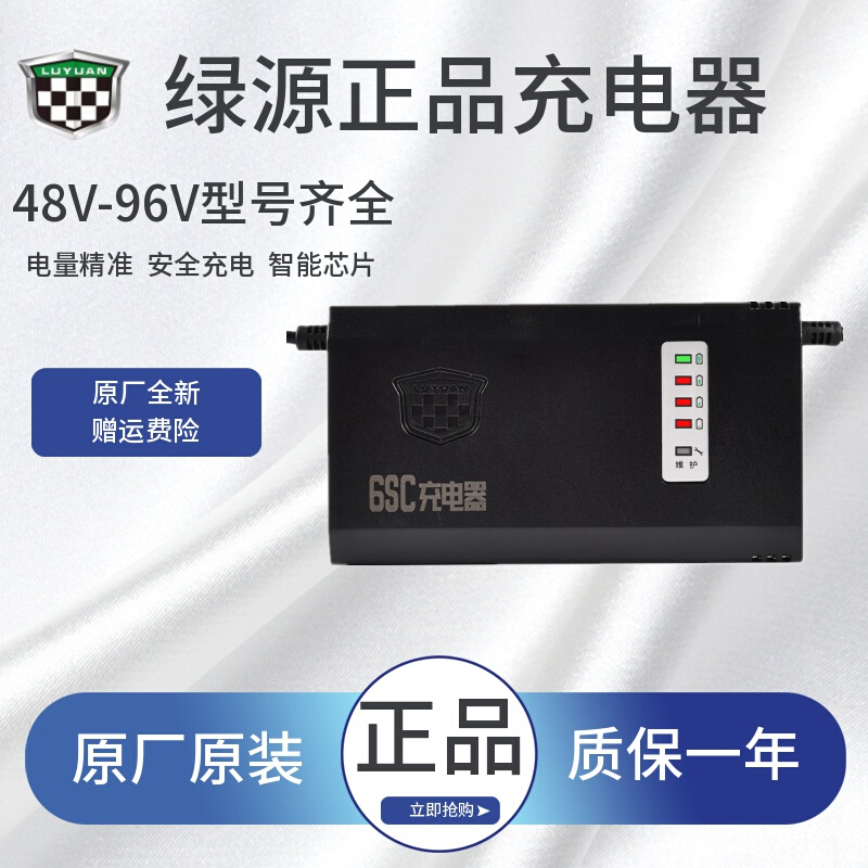 绿源原装电瓶车充电器电动车智能充电器48V/60V/72V/30E/20E/2T4T