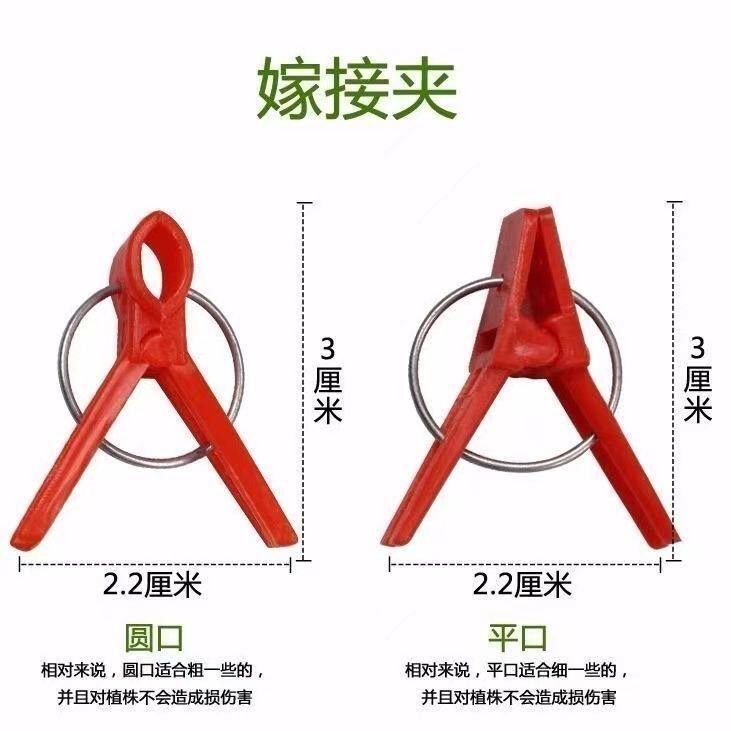 黄瓜番茄西瓜大棚圆口平口蔬菜嫁接夹子专用