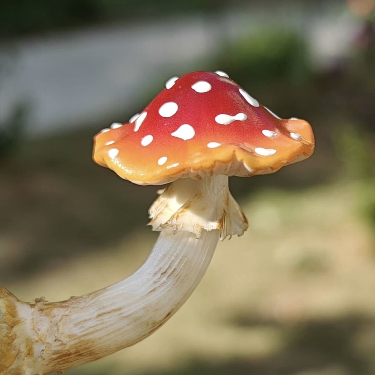 居家冰箱墙面装饰手工树脂磁吸贴治愈系立体森林蘑菇创意贴饰