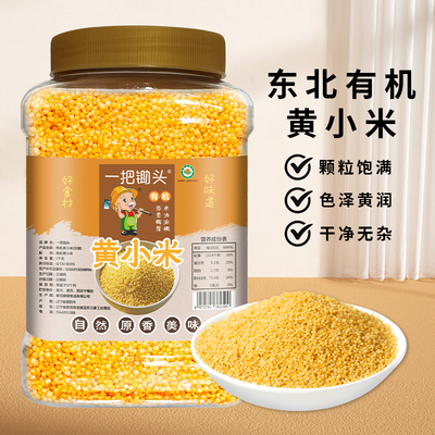 一把锄头黄小米杂粮罐装新米