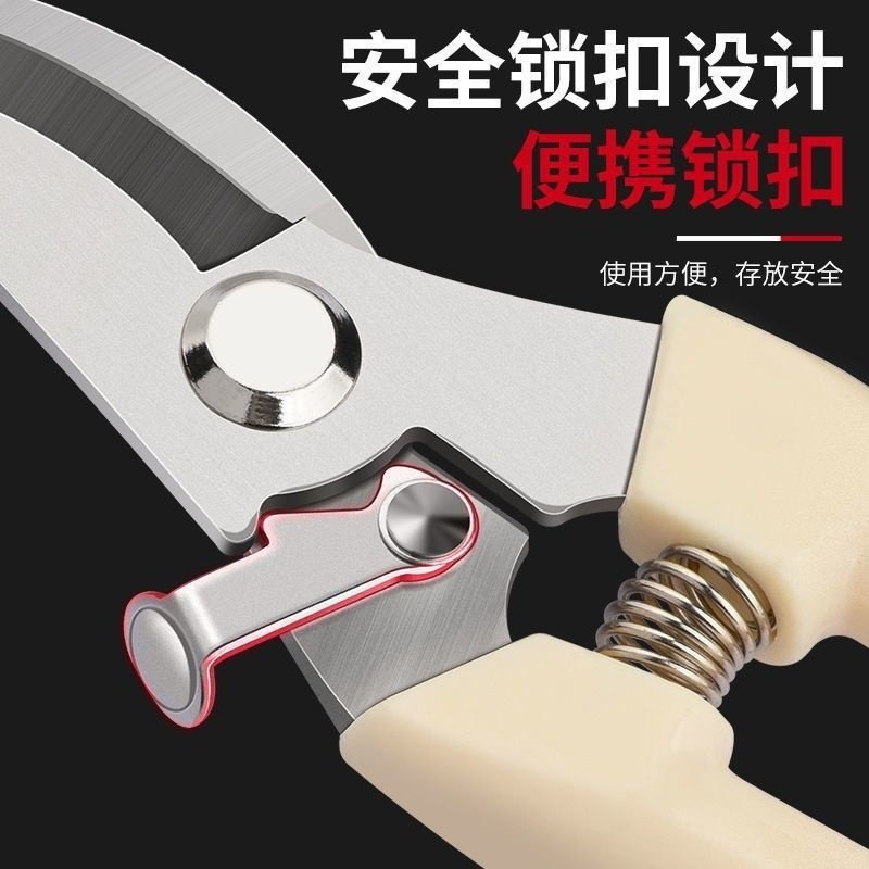 家用不锈钢果树修枝剪园艺剪刀摘水果修花盆栽树枝修剪工具图片