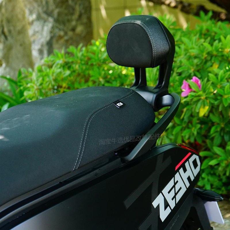 适极核电动车AE4sem/pro/MAX铝合金扶手靠背后座靠垫AE5i改装配件