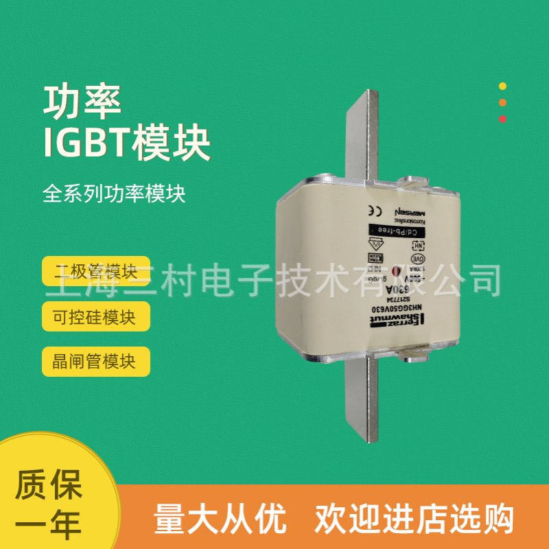 全新熔断器保险丝NH0UD69V250PV A320275 NH0UD69V315PV E320279