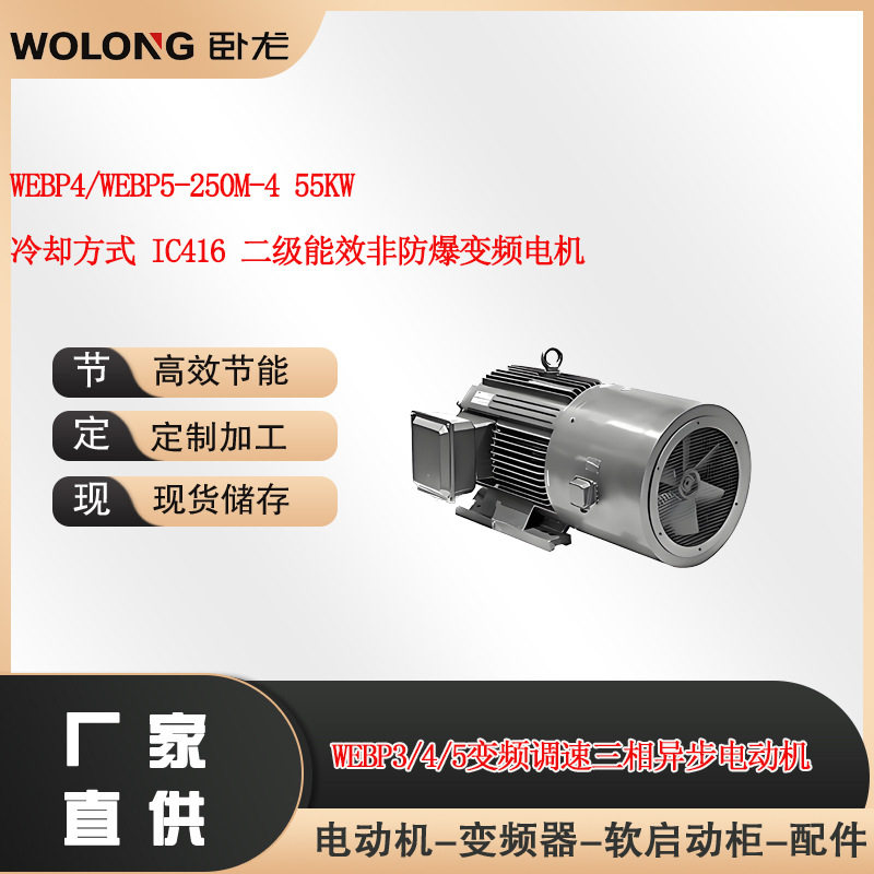 WEBP4/WEBP5-250M-455KW冷却方式IC416二级能效非防爆变频电机