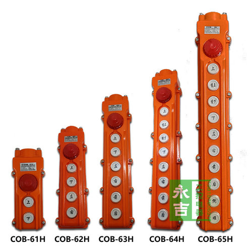 COB-61H 62H 63H 64H 65H防水行车按钮开关 电动葫芦开关吊车按钮