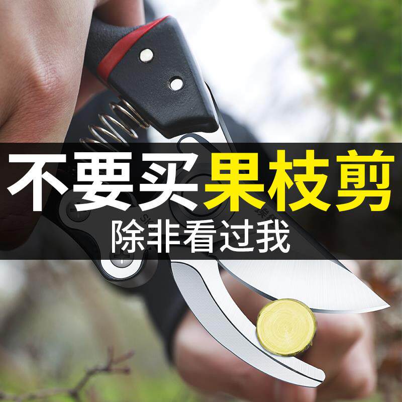 剪树枝专用剪刀修枝剪果树修枝修剪树枝园艺剪刀花艺剪枝花剪园林图片