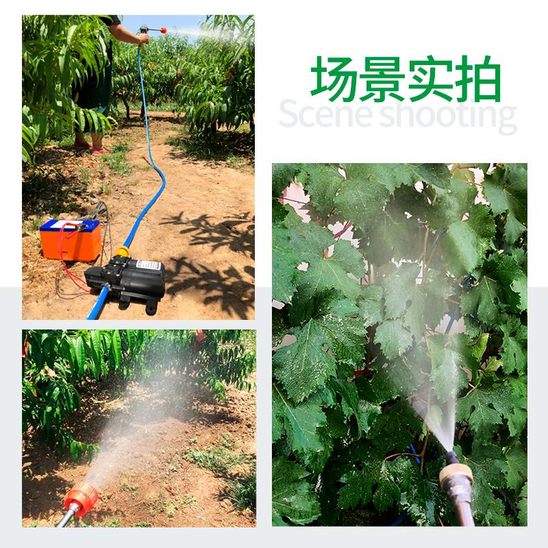 雨露隔膜泵喷雾器打药泵往复泵小型直流高压洗车泵双体隔膜泵回流